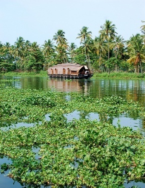 Holidays in Kerala, Holidays in Kerala by Kesari, Kerala Holidays, Kerala Tours, South India Tours, Backwaters of Kerala, Houseboat in Kerala, Travel to Kerala